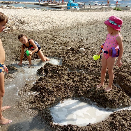 [img-20180820-160647.jpeg]