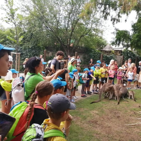 [img-20220819-wa0026.jpeg]