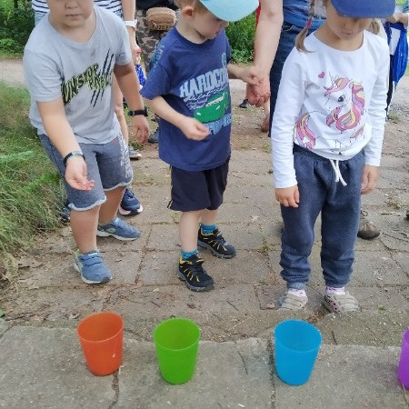 [img-20200713-154627.jpeg]