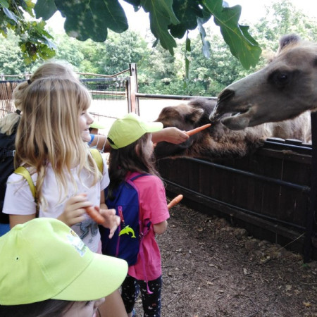 [img-20210726-wa0056.jpeg]