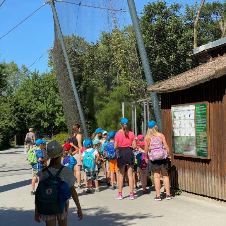 [img-20220718-wa0022.jpeg]