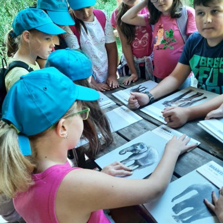 [photo-2023-08-11-17-40-41-3-.jpeg]