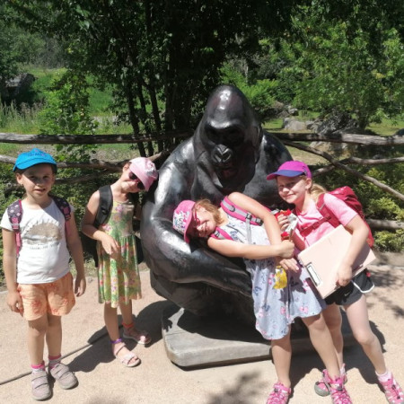 [img-20220719-wa0112.jpeg]