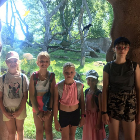 [img-20220719-wa0060.jpeg]