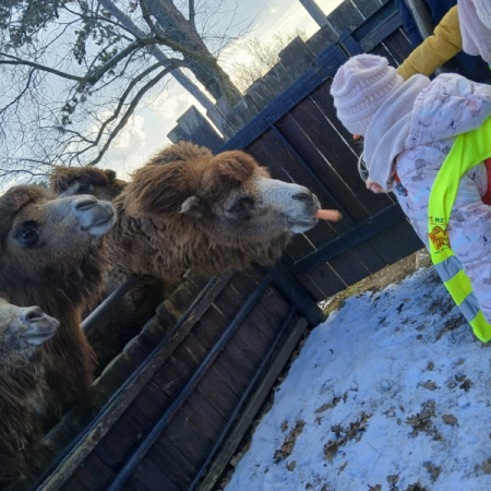 [img-20250317-wa0032.jpeg]