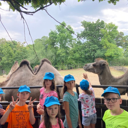 [img-20230710-wa0053.jpeg]