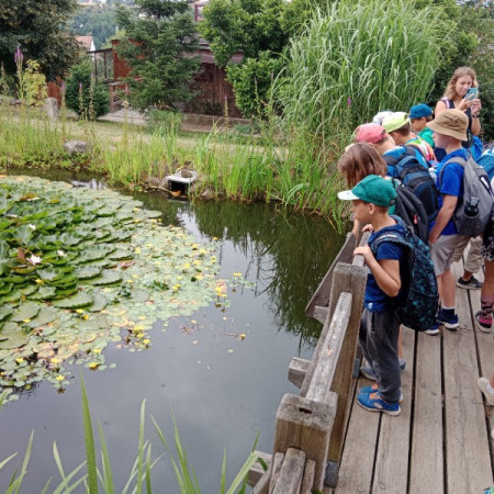 [img-20230710-104653.jpeg]