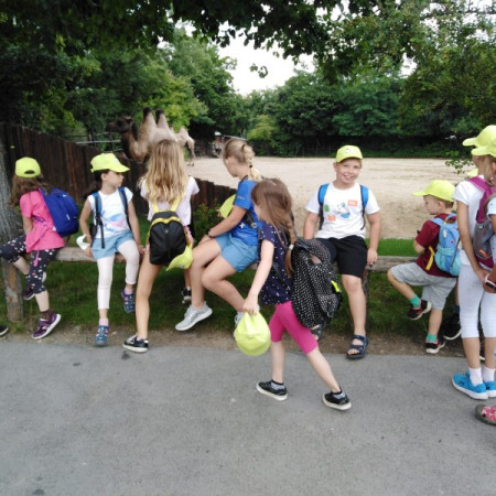 [img-20210726-wa0071.jpeg]