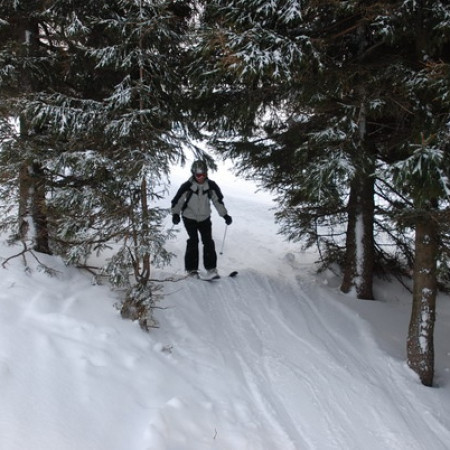 [dsc-0733-resize.jpeg]