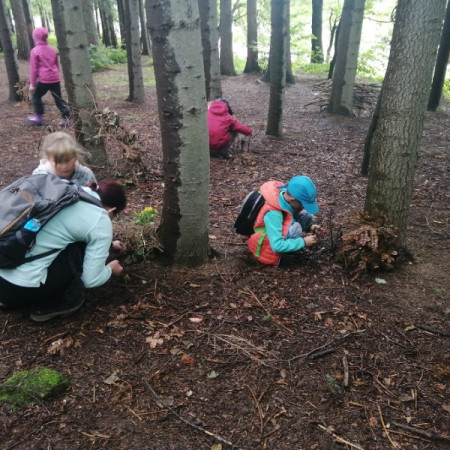 [117111633-338617520473439-2790322727832891596-n.jpeg]