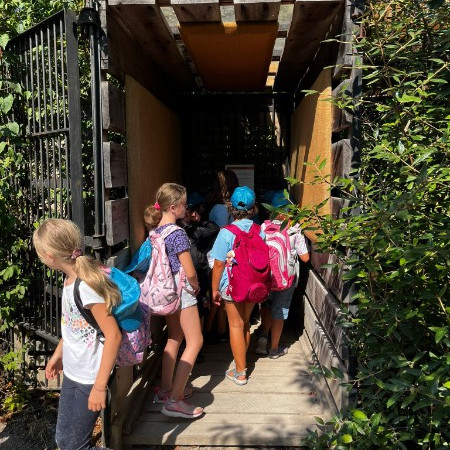 [dced784f-e0a7-4c2f-a061-58efde3e1da3.jpeg]