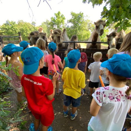 [01a333c7-a484-422a-b74a-8510fa7c1246.jpeg]