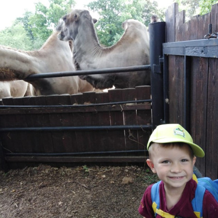 [img-20210726-wa0061.jpeg]