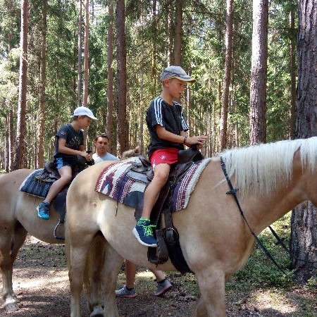 [img-20180801-133848.jpeg]