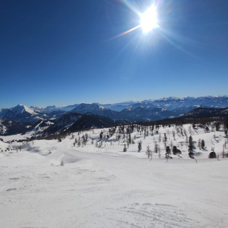 [276158892-3216810741923248-2570285245984803083-n.jpeg]