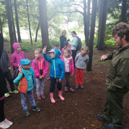 [117300644-214350546634665-1766997483460789023-n.jpeg]