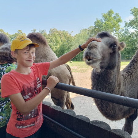 [photo-2023-08-18-17-33-09-1-.jpeg]