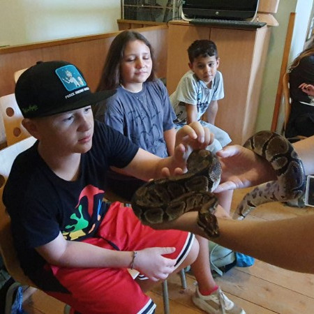 [img-20240801-wa0069.jpeg]