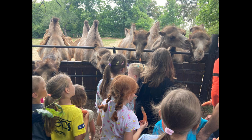 Příměstský tábor v zoo 1 2026