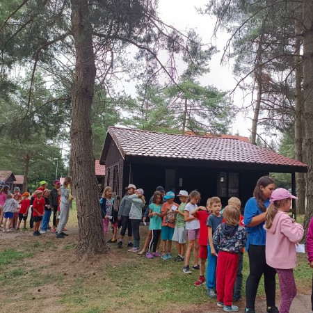 [295590115-379792220928535-4009532666624746614-n.jpeg]