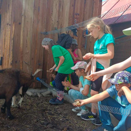 [356820524-150588974720010-2953550957406720443-n-kopie.jpeg]