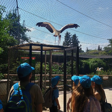 [0cb34baa-18f3-48a7-b83c-e42a0d732800.jpeg]