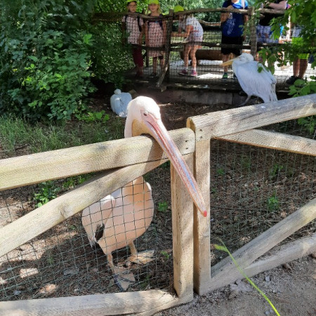 [20210716-103406.jpeg]