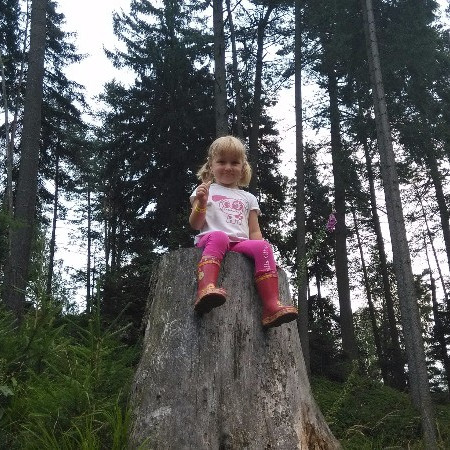 [img-20140728-151828.jpeg]