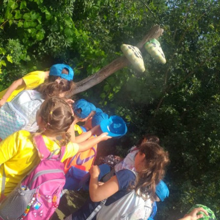 [299573764-455791796457393-3962574005999787666-n.jpeg]