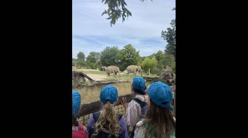 Příměstský tábor v zoo 1 2026