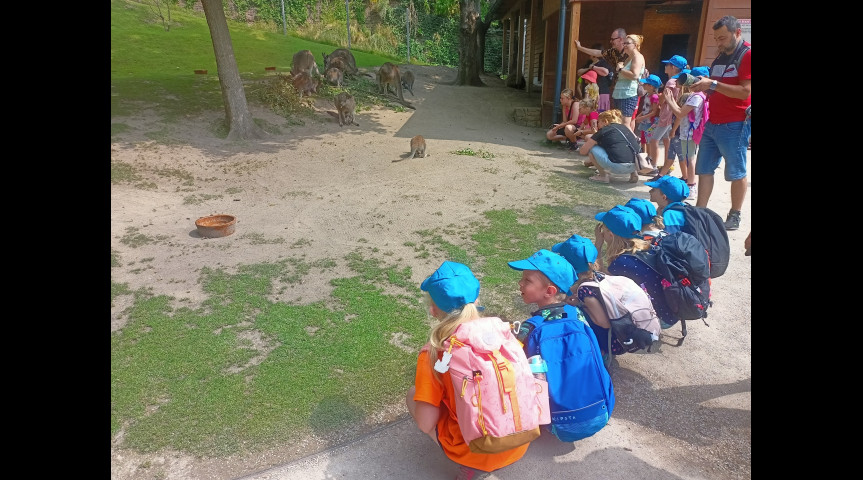 Příměstský tábor v zoo 1 2026