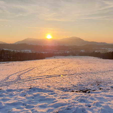 [20190206-162711.jpeg]