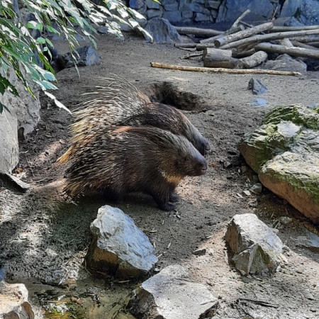 [20210716-093509.jpeg]