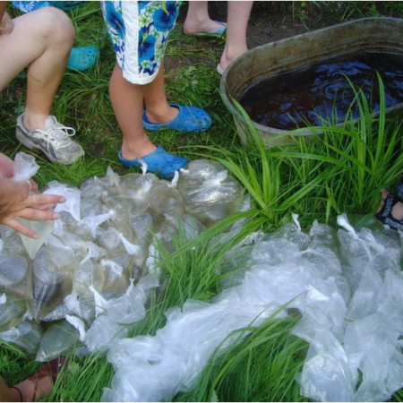 [snv33191-resize.jpeg]