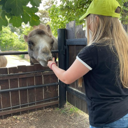 [img-20210723-wa0019.jpeg]