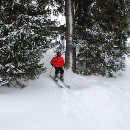 [dsc-0744-resize.jpeg]