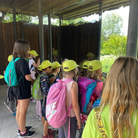 [img-20210723-wa0010.jpeg]