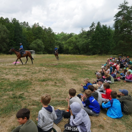 [11.-den-9.7-15-.jpeg]