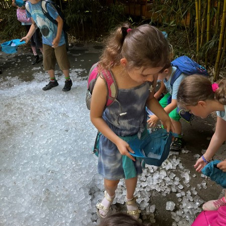 [ab947992-e9b1-4559-a74a-55725e28c189.jpeg]