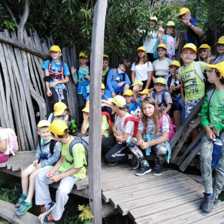 [img-20210807-wa0030.jpeg]