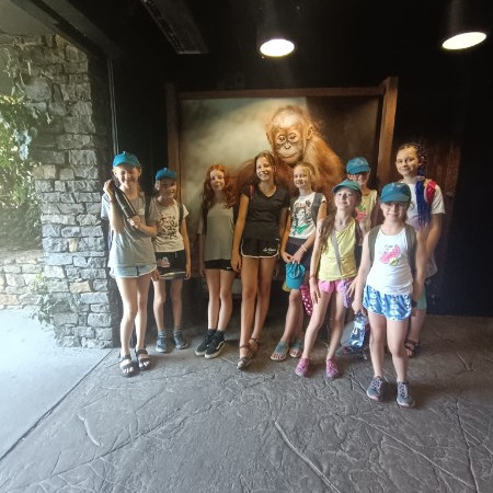 [img-20240823-wa0020.jpeg]