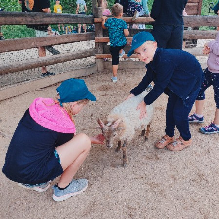 [img20220715133403.jpeg]