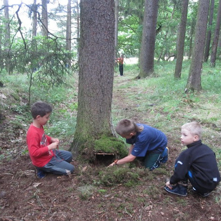 [img-1728-resize.jpeg]