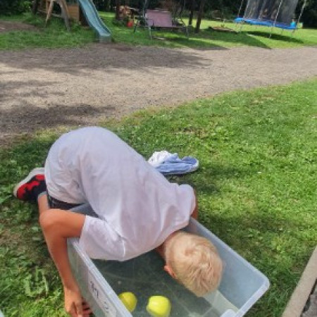 [img-20240806-wa0079.jpeg]