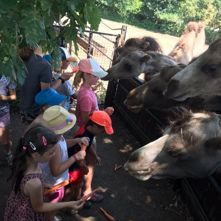 [img-20220720-wa0022.jpeg]