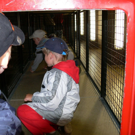 [izs-33-resize.jpeg]