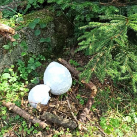 [img-20210719-160949.jpeg]