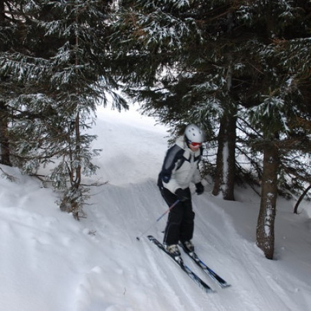 [dsc-0735-resize.jpeg]