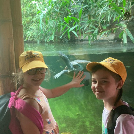 [img-20240715-wa0007.jpeg]