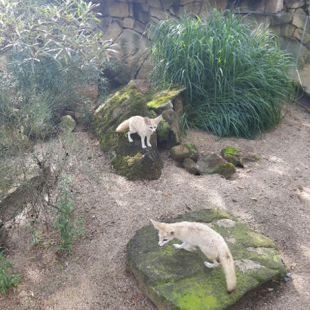 [20210715-093730.jpeg]